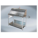 T4W Paining table with fumes extraction INOX