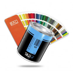 T4W Acrylic Paint 2K 2:1 / RAL 9116 (1L Can)